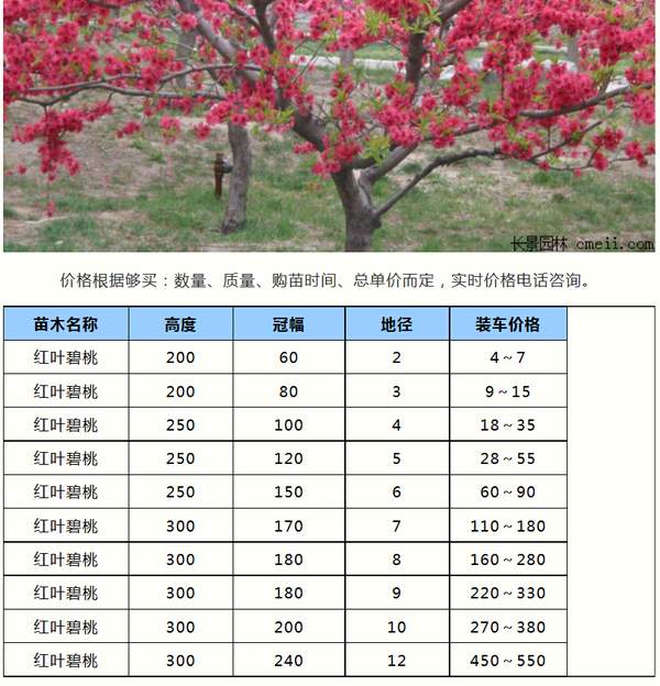 http://www.xpjzzs.com/uploads/allimg/160910/11-16091015254M05.jpg