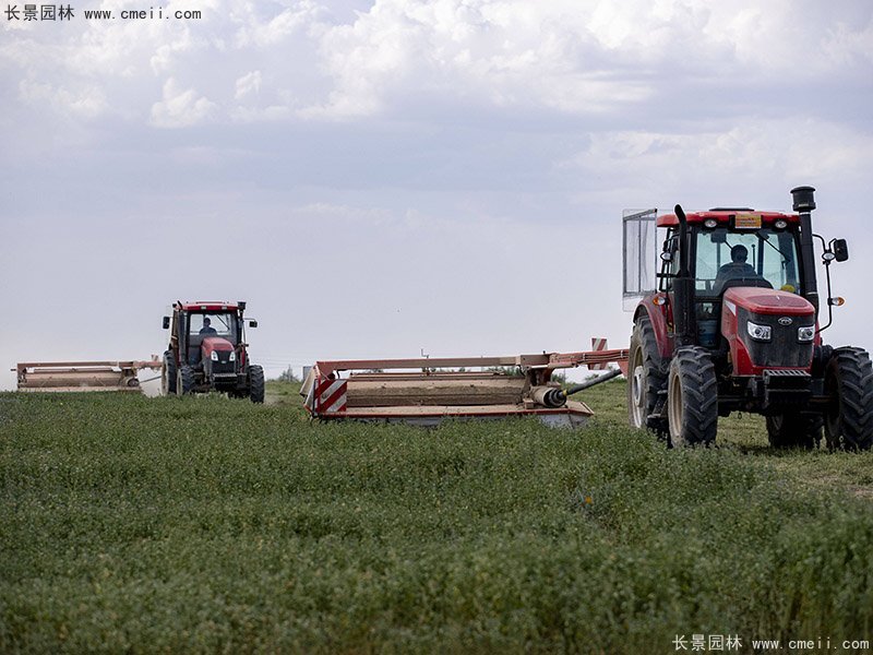 優質高產牧草收割 優質高產牧草收割
