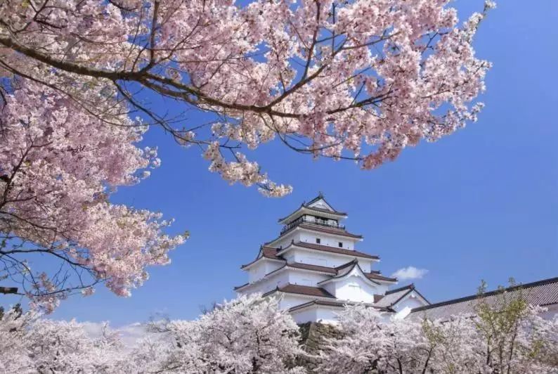 1672622035857093.jpg 微信圖片_20230102091342.jpg