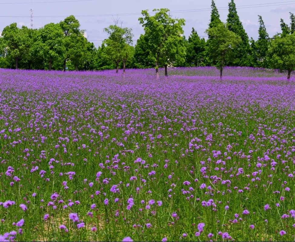 1673092082434550.jpg 微信圖片_20221023222556.jpg