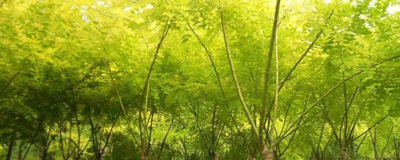 1673092347724774.jpg 微信圖片_20221025220220.jpg