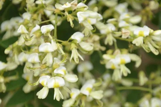 1673092370521476.jpg 微信圖片_20221025220226.jpg