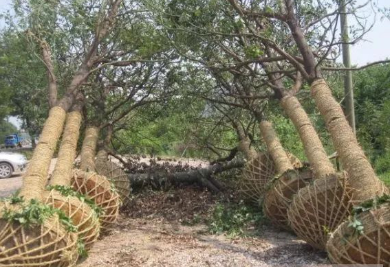 1673092575112676.jpg 微信圖片_20230107195502.jpg