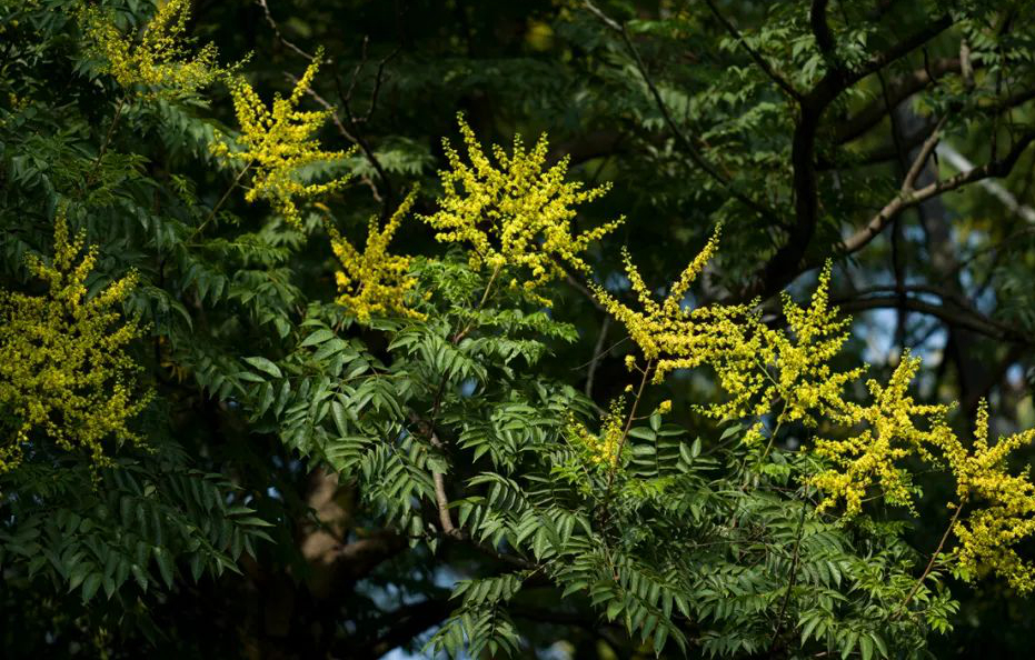 1673093230720928.jpg 微信圖片_20230107200532.jpg