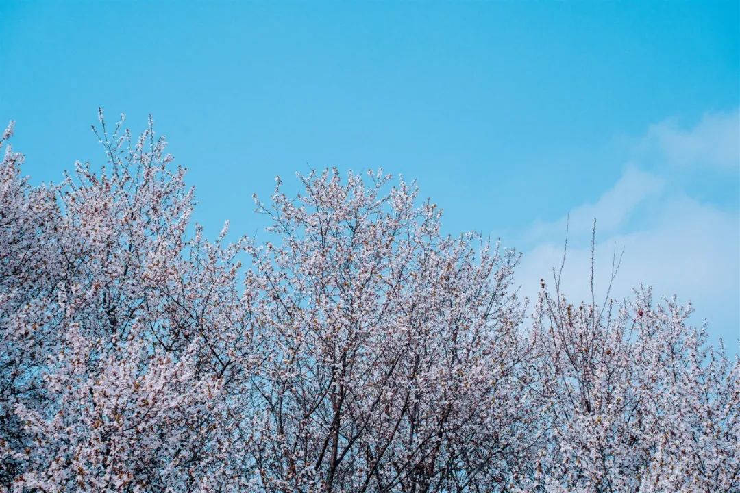 1673153720674642.jpg 微信圖片_20230107195024.jpg