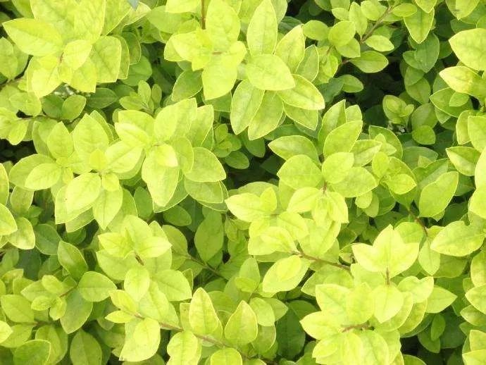 1673156616541663.jpg 微信圖片_20230108134257.jpg