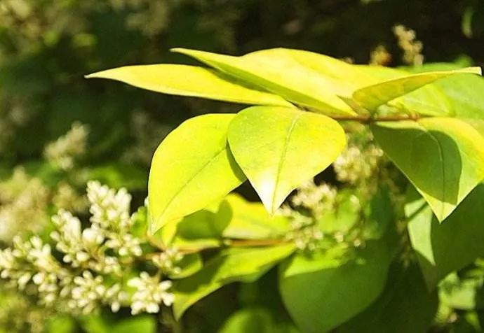 1673156623596028.jpg 微信圖片_20230108134252.jpg