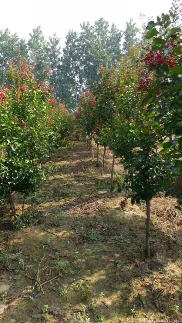 1673156744142557.jpg 1-1F331100TQ94.jpg