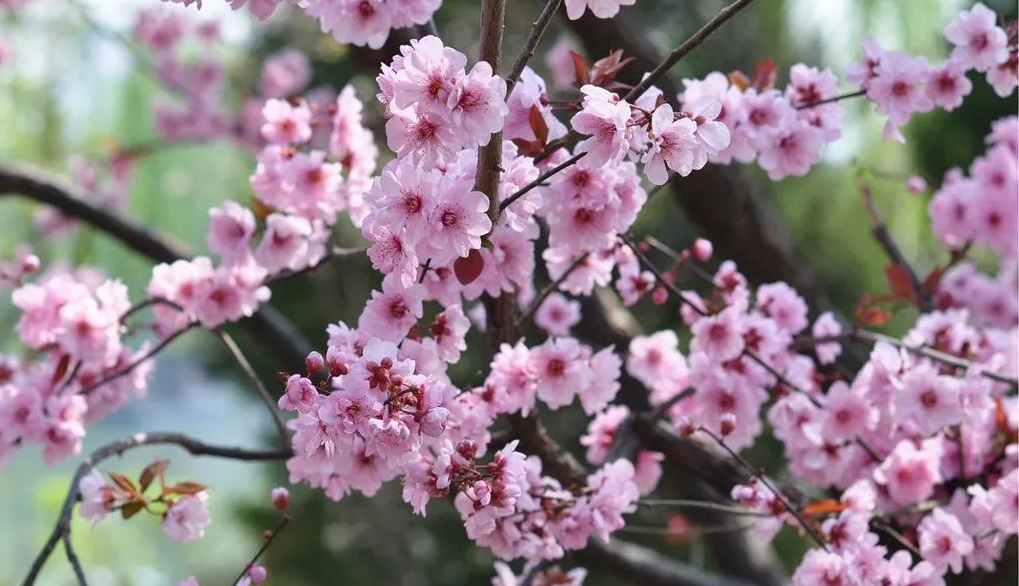 1673157444984868.jpg 微信圖片_20230108135533.jpg