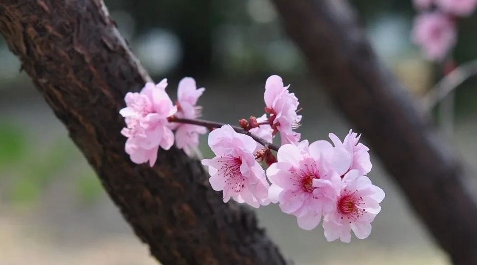 1673157452815719.jpg 微信圖片_20230108135538.jpg