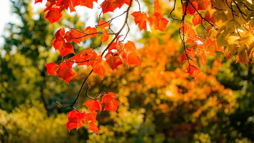 1673162051905397.jpg 微信圖片_20230107171432.jpg