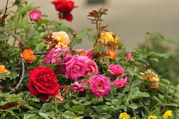 1673162541586679.jpg 微信圖片_20221126211636.jpg