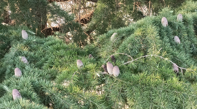 1673452502951789.png 微信圖片_20230111235421.png