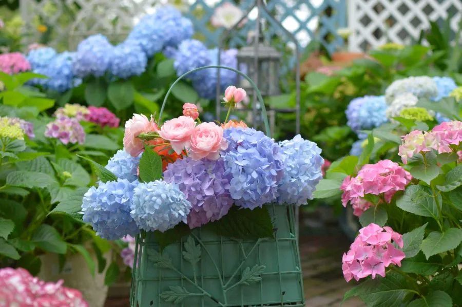 1673524691469138.jpg 微信圖片_20230112195732.jpg