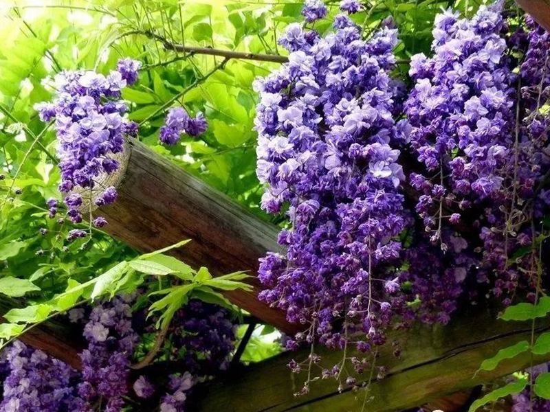 1673524968866172.jpg 微信圖片_20220818221329.jpg