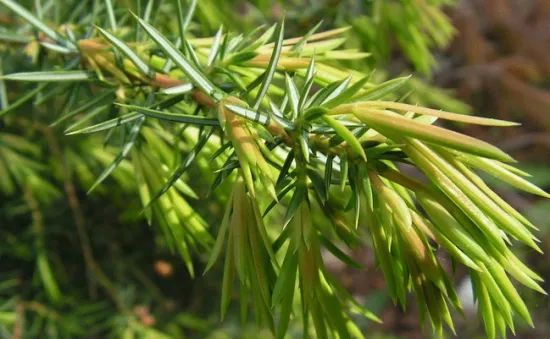 1673525207670196.jpg 微信圖片_20230107193600.jpg