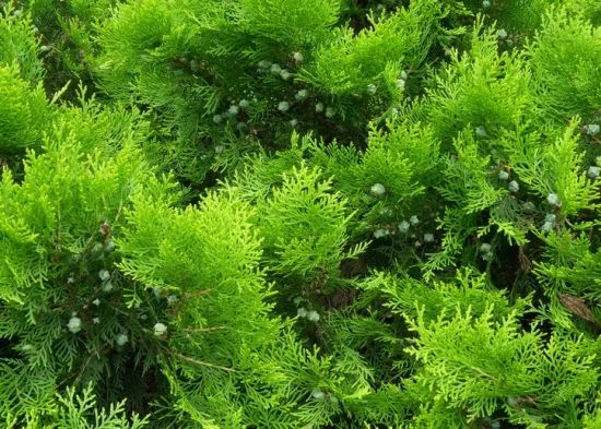 1673525213710923.jpg 微信圖片_20230107193612.jpg