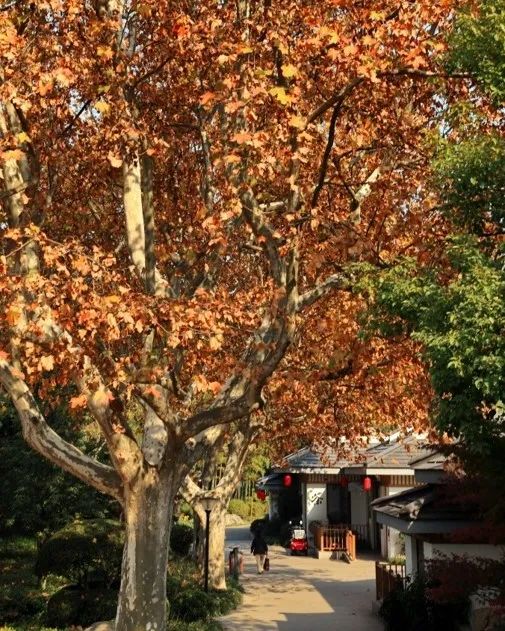 1673525806969793.jpg 微信圖片_20230112201602.jpg