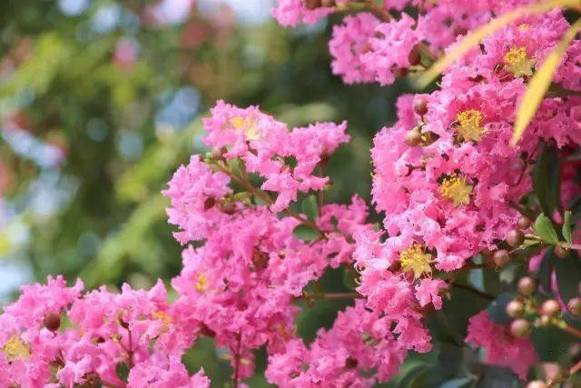 1673525914187567.png 微信圖片_20230112201806.png