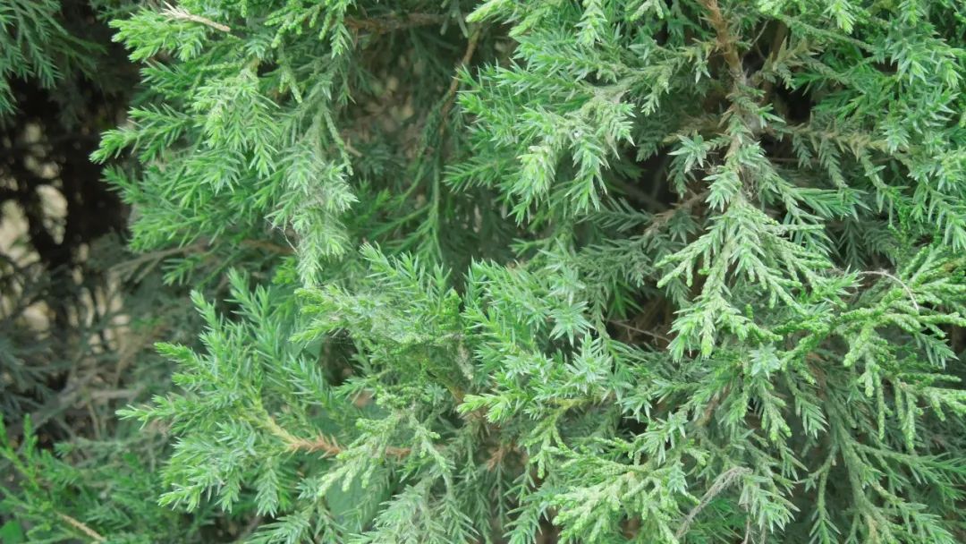 1673526043284405.jpg 微信圖片_20230112201957.jpg