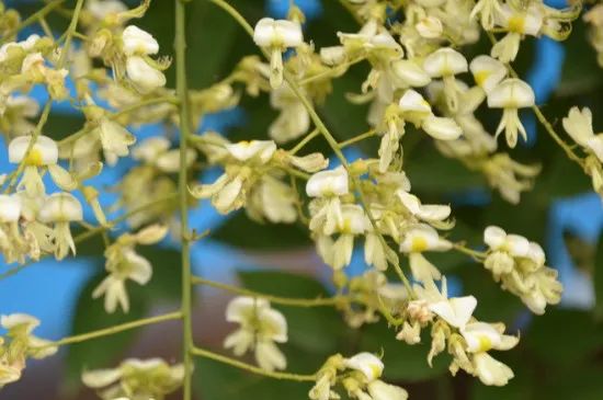 1673526152991187.jpg 微信圖片_20221025220223.jpg