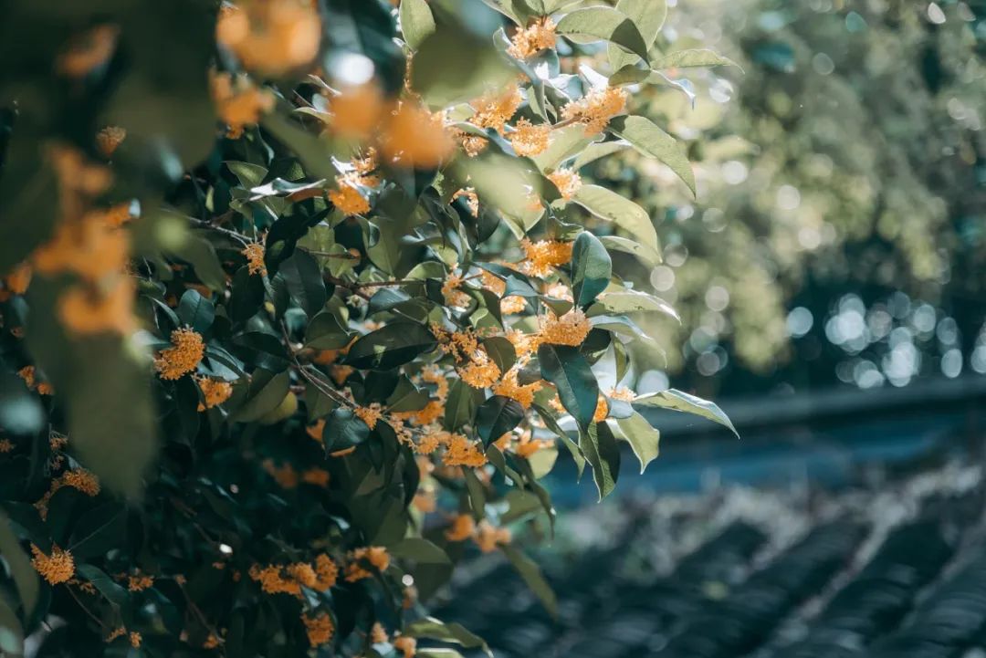 1673825686215725.jpg 微信圖片_20221026222437.jpg