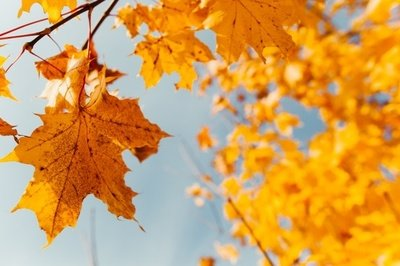 1675491863721314.png 微信圖片_20221024234359.png