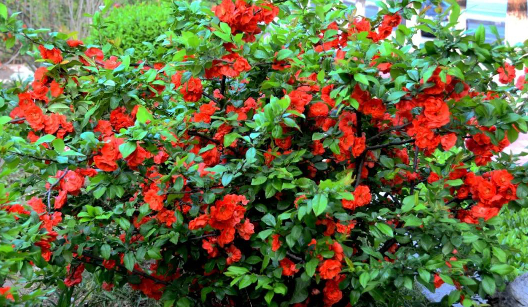 1675492189708208.jpg 微信圖片_20230204142748.jpg