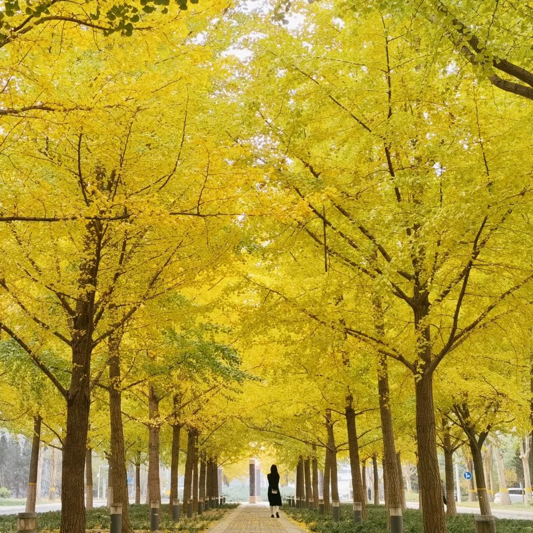 1676580872657603.jpg 微信圖片_20221126001420.jpg