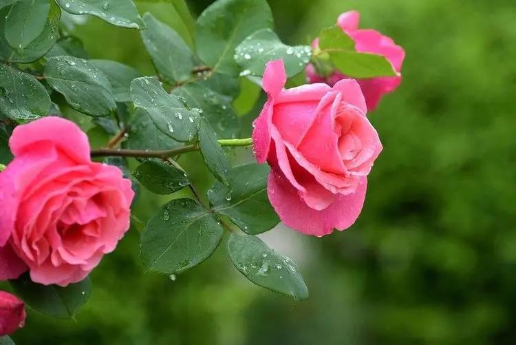 1676894360739738.jpg 微信圖片_20221126211640.jpg