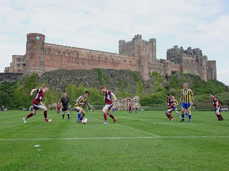 足球場天然草坪 足球場天然草坪