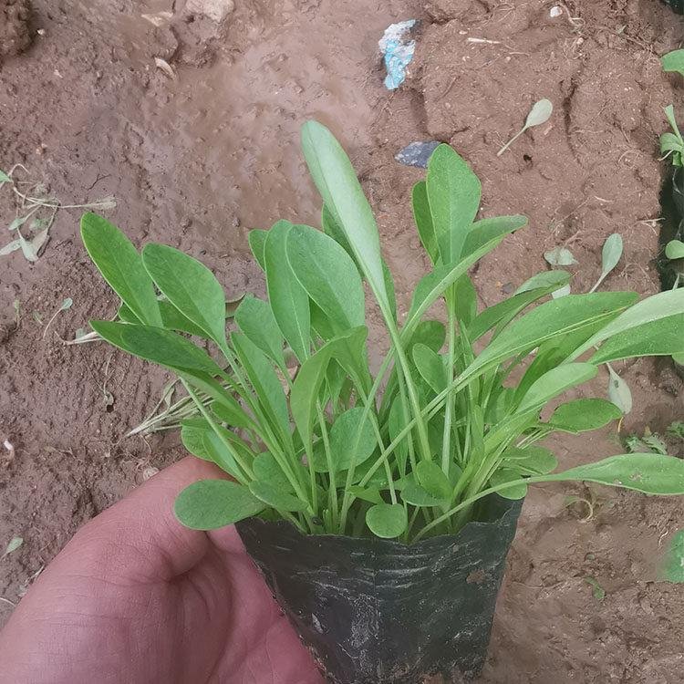 1712889593837304.jpg 1685494735402265.jpg