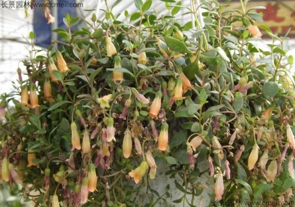 1712901200896434.jpg 1-1FFZ94I1I5.jpg