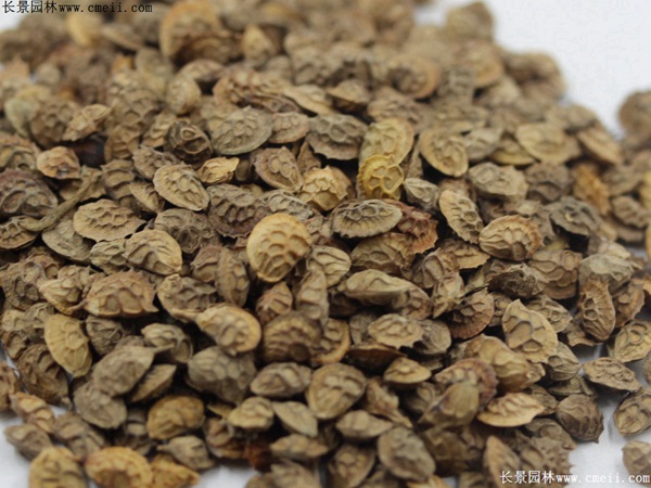 1713168832855326.jpg 1-1F6261Q130D5.jpg