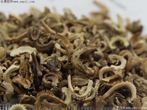 1713169158744614.jpg 1-1FF2095149540.jpg