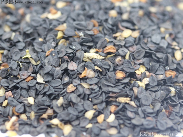 1713170836455162.jpg 1-1FF120500U21.jpg