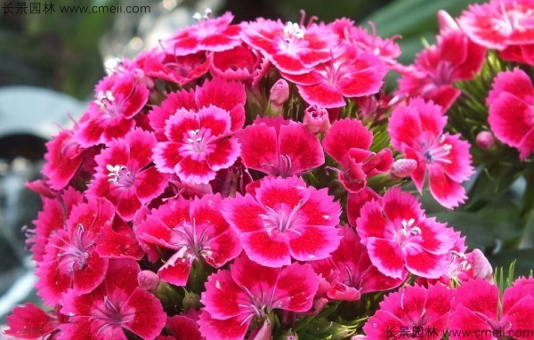 1713170841360340.jpg 1-1FF1205009635.jpg